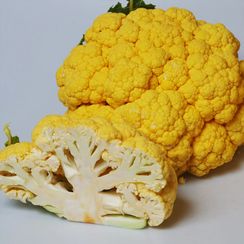 ФЛЕЙМ СТАР F1 семена капусты цветной (Syngenta | Alexagro)