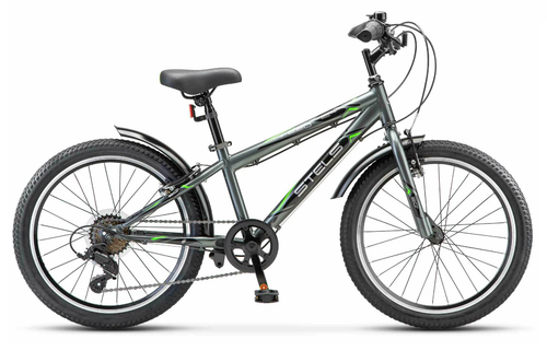 Велосипед 20" Stels Pilot-220 V р.11"  Z010 (2024) серый