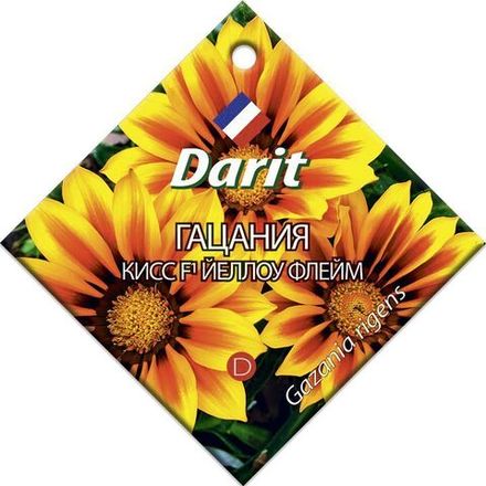Гацания Кисс Йеллоу Флейм F1, семена Дарит 7шт (500)