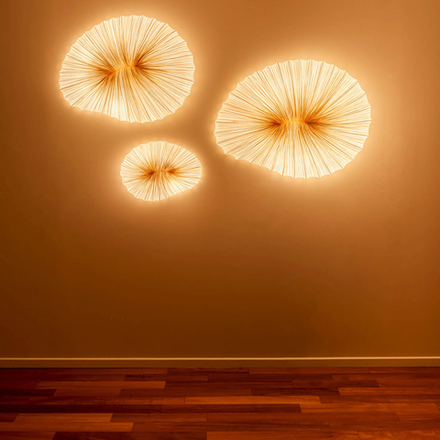 Wall design lamp Baby Coral by Aqua Creations Studio