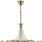 8243/8 CLASSI LN26 086 латунь металл/хрусталь Люстра подвесная E14 8*40W 220V KRISTINA