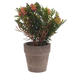 GAEM Цветочная композиция, L9 W9 H18 см, 5в.