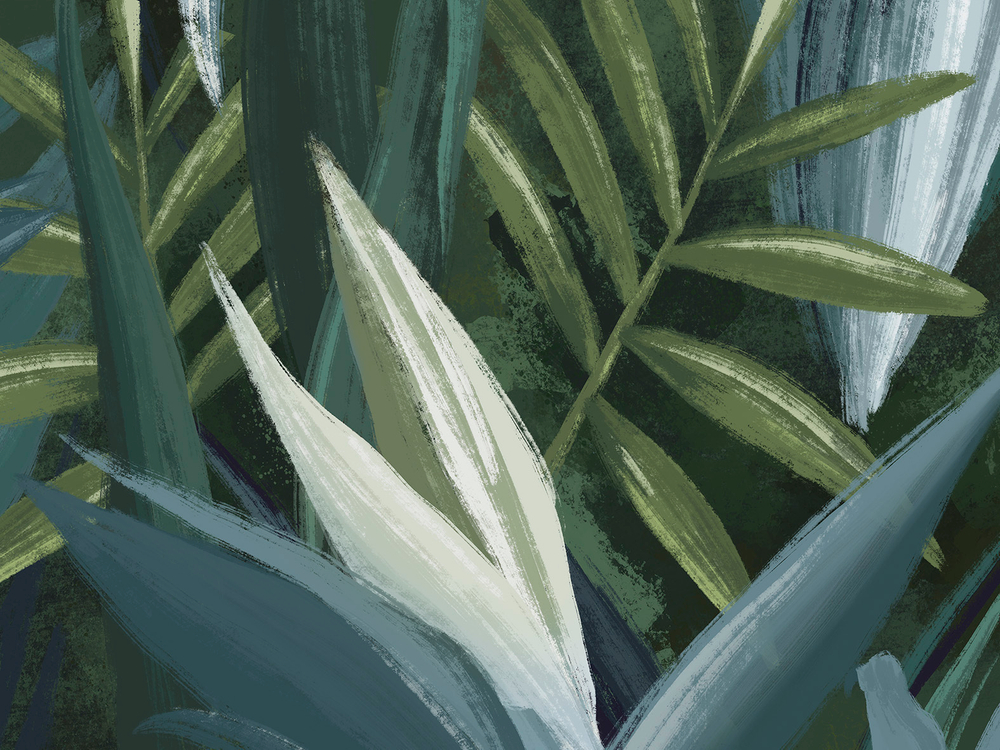 Коллекция ALIVE