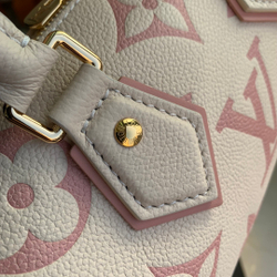 Louis Vuitton Speedy 20