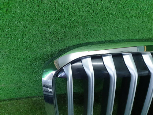 Решетка радиатора BMW X7 G07 (2019-2022)