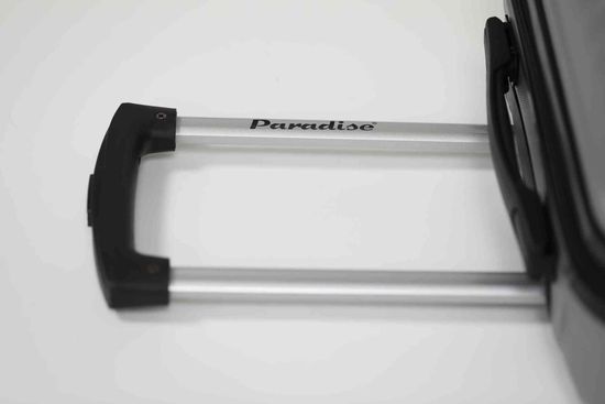 Чемодан PALMA