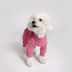 002 Костюм с воротником "Angel Monsters Single High Neck Coverall" Puppy Angel