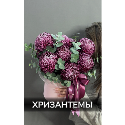 Хризантемы