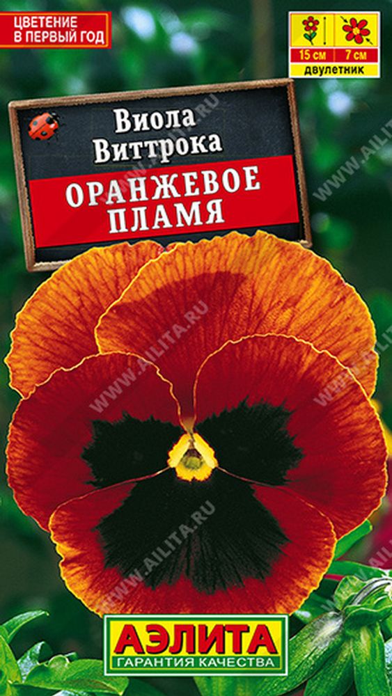 Виола "G. Оранжевое пламя" 0,05г., Россия. Виола "G. Оранжевое пламя" 0,05г., Россия.