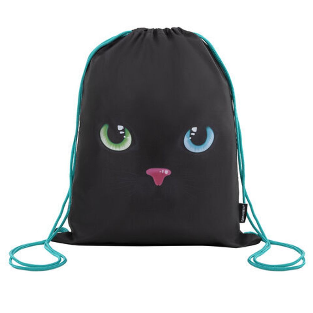 Школьный набор BRAUBERG: папка А4, мешок для обуви 42х33 см, пенал-косметичка 20х10 см, "Black cat", 271434