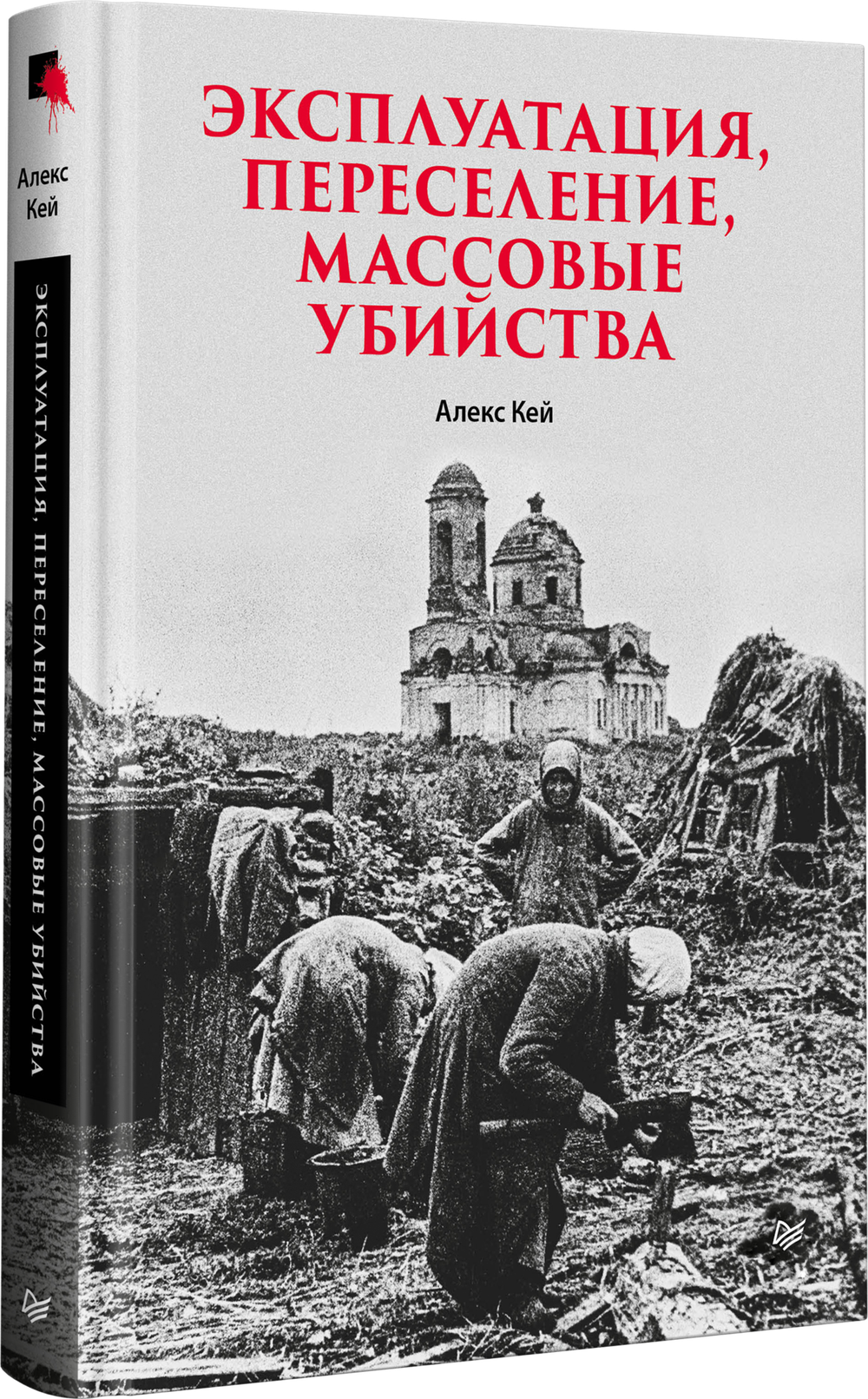 Эксплуатация, переселение, массовые убийства Политическое и экономическое планирование немецкой оккупационной политики