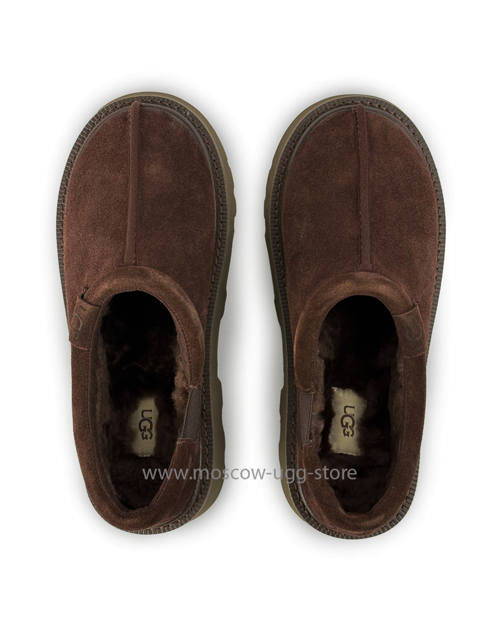 MEN'S TASMAN LUG - Molasses