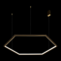 10016XL Подвесной светильник LOFT IT Ring