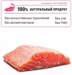 Karmy Mini Sensitive Сухой корм для взрослых собак мини пород c чувствительным пищеварением с Лососем, 2 кг