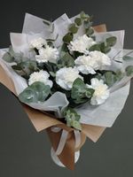 Гвоздики (диантусы)