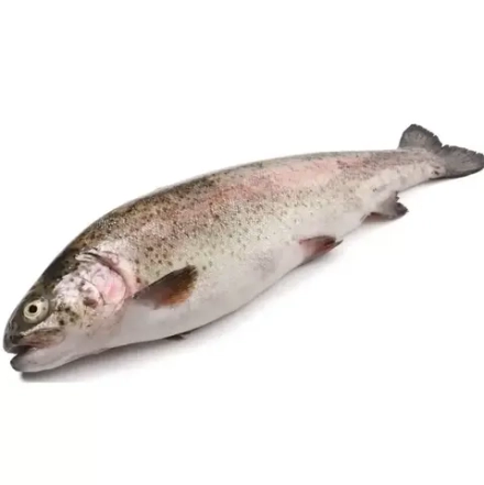 Форель Радужная с/м н/р 300-500 Фасовка 1/5кг