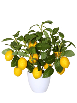 Искусственные Лимончики 35см в кашпо