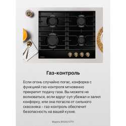 Газовая панель Hansa BHGA610791