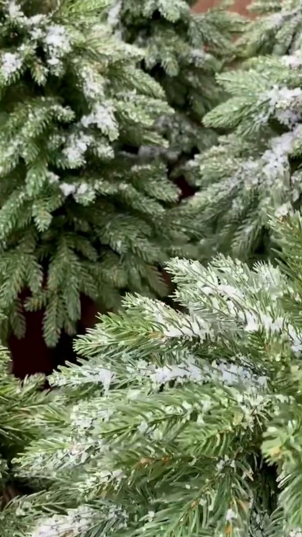 Искусственная ель на ножке "Гринч" (Литая хвоя с инеем) 70 см