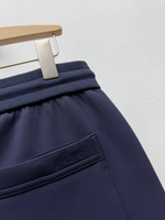 Спортивные штаны Brioni