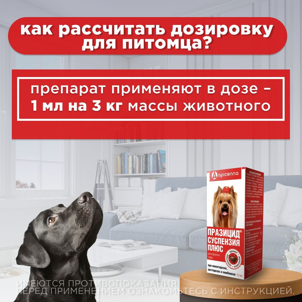 Суспензия для собак от гельминтов и лямблий Празицид Плюс APICENNA, 10мл. Фебантел/Пирантел/ Празиквантел