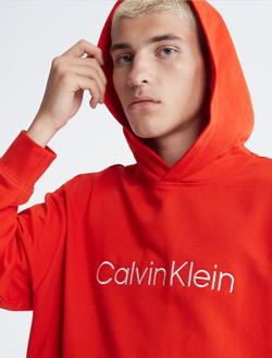 Худи Calvin Klein Relaxed Fit Standard Logo Desrt Orange/Burnt Copper
