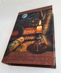Футляр-книга с изображением кота-библиофила с магнитным замком