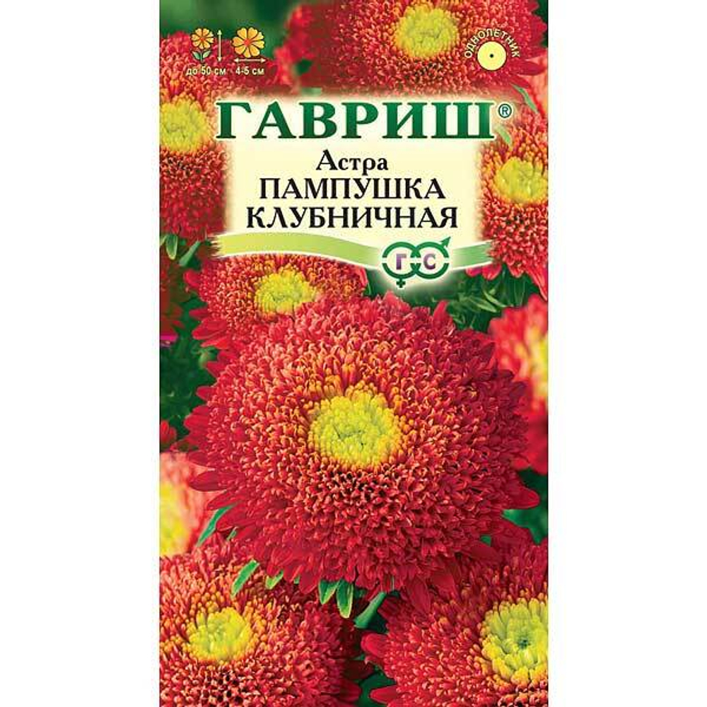 Астра Пампушка клубничная 0.3г