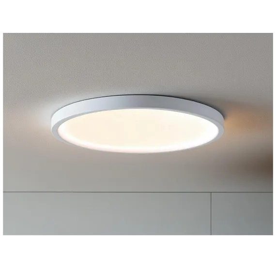 Светильник светодиодный LIGHT PREMIUM арт. 10733 Truenergy