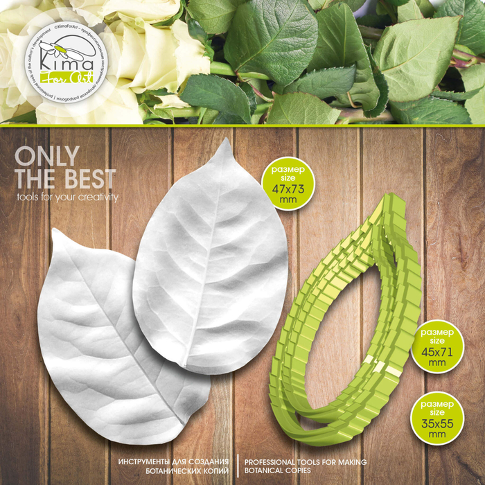 Роза лист средний