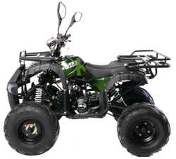 MOTAX ATV Grizlik 7 125 cc 4TЧерно-зеленый