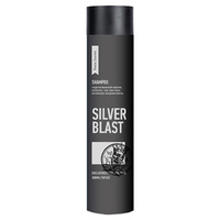 Шампунь для седых и светлых волос Protokeratin Silver Blast Shampoo 300мл