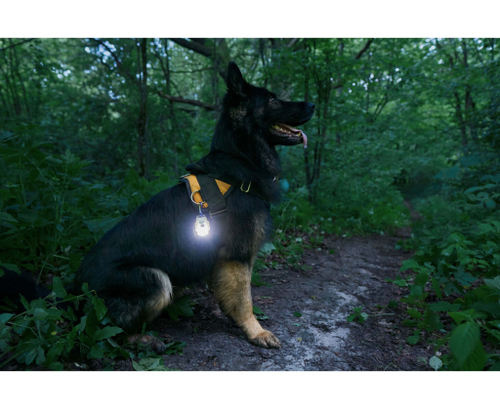 Мультифонарь Armytek Crystal Pro IR Grey (F10201GIR)