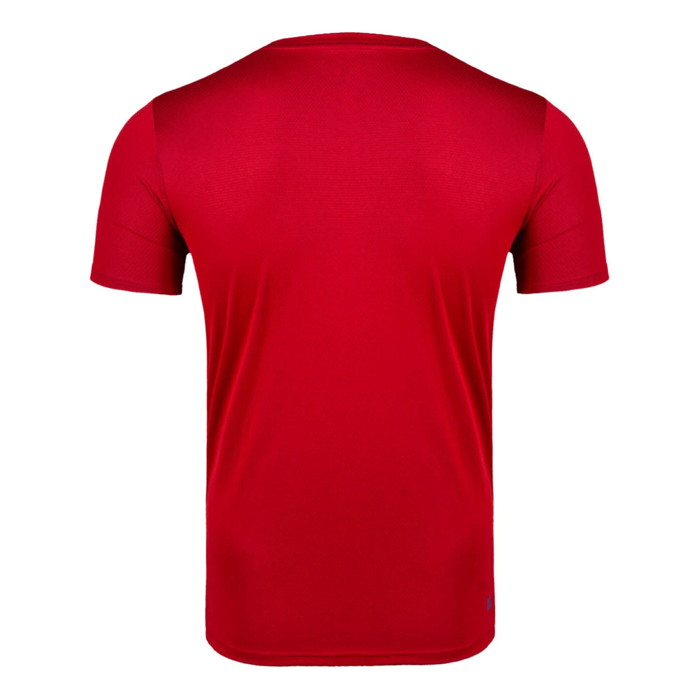 Мужское теннисное поло BIDI BADU Ted Tech Men - Red, Blue