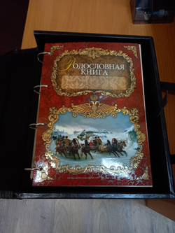 Семейная родословная книга "Изысканная, Древо золотое" позолоченая, обложка из натуральной кожи