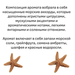 Морская звезда, кубики восковые для ароматизации, 10 штук