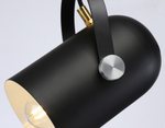 Подвесной светильник Ambrella Light TR TR8206