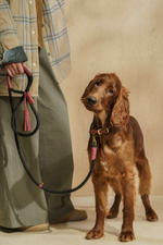 Ошейник "Пони-Макарони" Винный