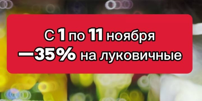 С 1 - 11 ноября АКЦИЯ! —35% на луковичные растения в блистерах.