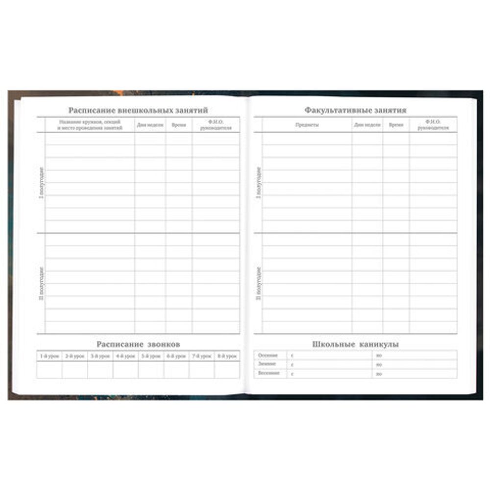 Дневник 5-11 класс 48 л., гибкая обложка, BRAUBERG, глянцевая ламинация, с подсказом, "Cat", 107181