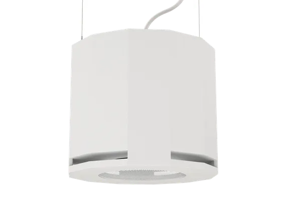 CVGAUDIO SUBone model D-6W/CR/T