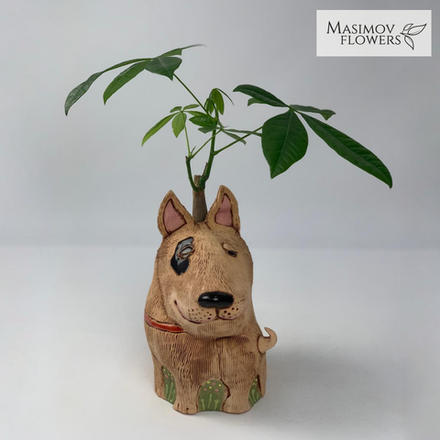 Композиция "Даниэль"