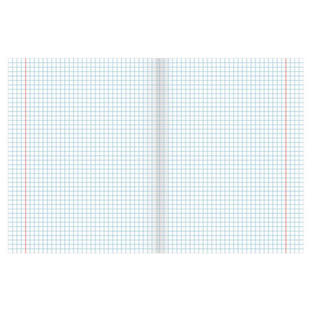 Тетрадь 12 л. BRAUBERG клетка, обложка картон, "УДИВИТЕЛЬНЫЕ ПТИЦЫ", 105619