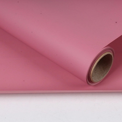 Пленка Фаворит 50см*10м СВЕТЛАЯ