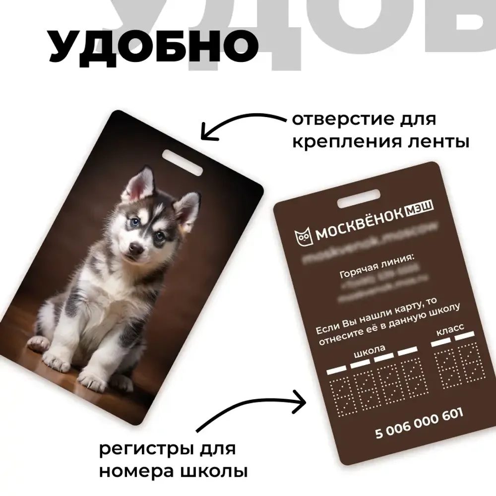 Карта Москвёнок DOGS №14 (проход + питание)