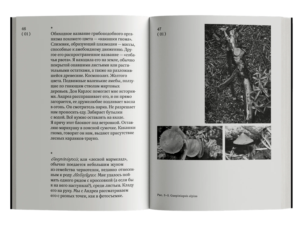 Обширная территория