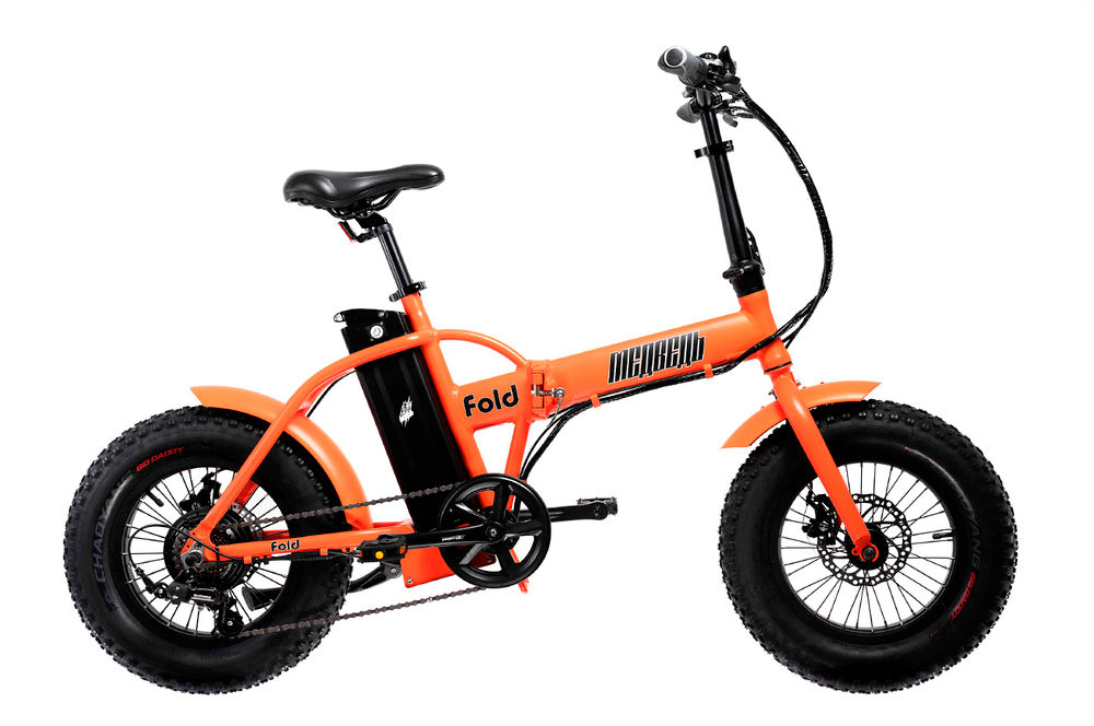 Электро-фэтбайк Медведь Fold Mini 350