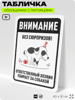 Табличка "Без сюрпризов! Ответственный хозяин убирает за собакой" на дверь и забор, для двора, дома, подъезда, 40х30 см, Silver Plane x Айдентика Технолоджи