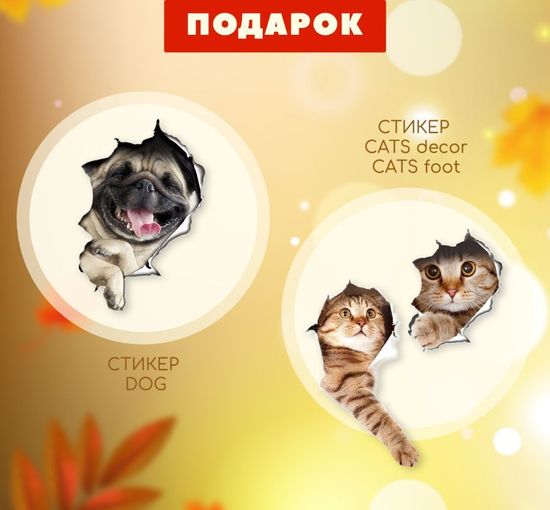 Осенний ценопад подаркам каждый рад!