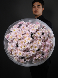 Моно букет из 25 цветных хризантем